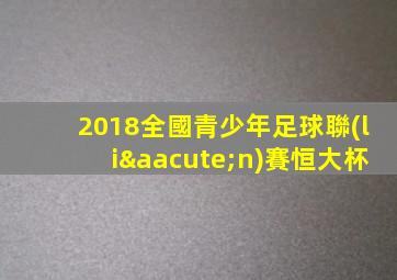 2018全國青少年足球聯(lián)賽恒大杯