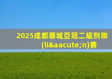 2025成都蓉城亞冠二級別聯(lián)賽