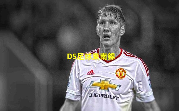 DS足球東南錦