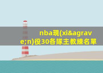nba現(xiàn)役30各隊主教練名單