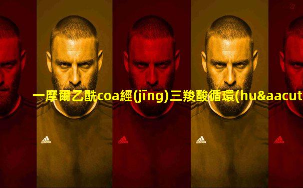 一摩爾乙酰coa經(jīng)三羧酸循環(huán)產(chǎn)生