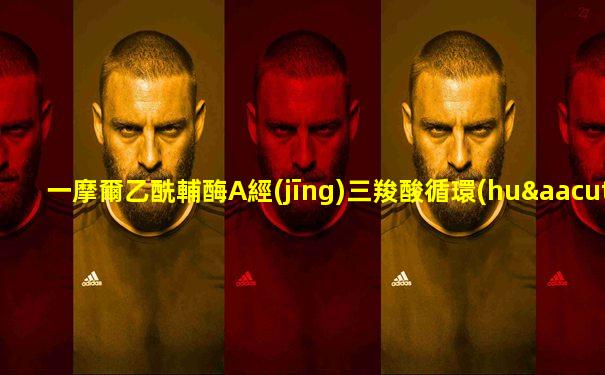 一摩爾乙酰輔酶A經(jīng)三羧酸循環(huán)徹底氧化產(chǎn)生多少ATP