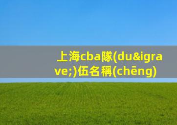 上海cba隊(duì)伍名稱(chēng)