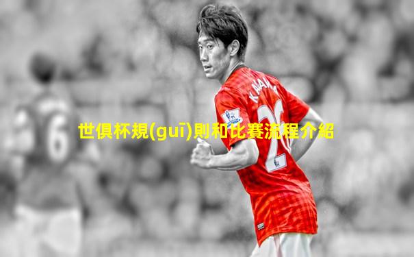 世俱杯規(guī)則和比賽流程介紹