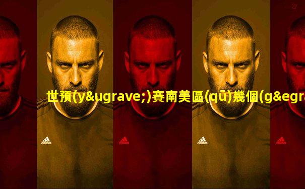 世預(yù)賽南美區(qū)幾個(gè)名額