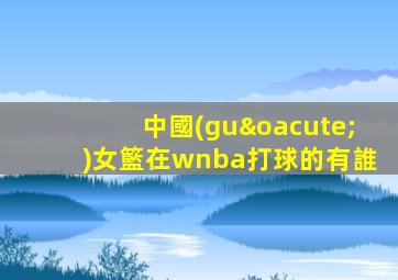 中國(guó)女籃在wnba打球的有誰