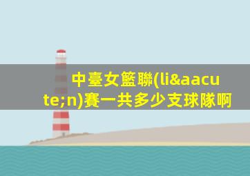 中臺女籃聯(lián)賽一共多少支球隊啊