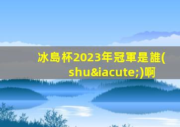 冰島杯2023年冠軍是誰(shuí)啊