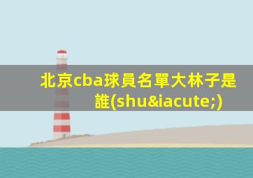 北京cba球員名單大林子是誰(shuí)