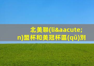 北美聯(lián)盟杯和美冠杯區(qū)別