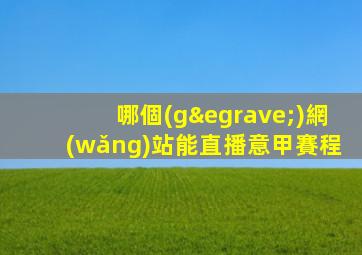 哪個(gè)網(wǎng)站能直播意甲賽程