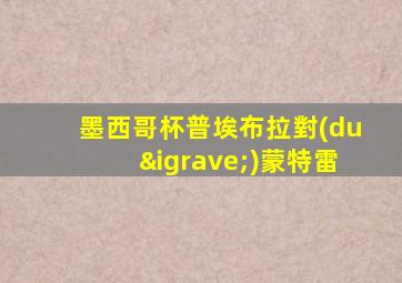 墨西哥杯普埃布拉對(duì)蒙特雷