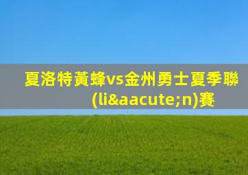 夏洛特黃蜂vs金州勇士夏季聯(lián)賽