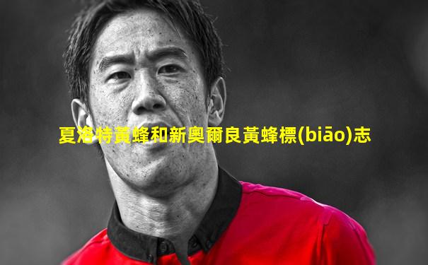 夏洛特黃蜂和新奧爾良黃蜂標(biāo)志