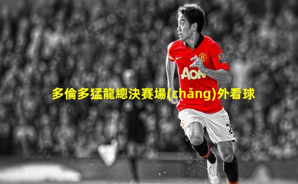 多倫多猛龍總決賽場(chǎng)外看球