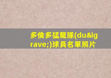 多倫多猛龍隊(duì)球員名單照片