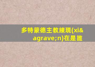 多特蒙德主教練現(xiàn)在是誰
