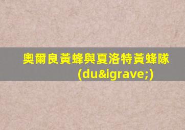 奧爾良黃蜂與夏洛特黃蜂隊(duì)