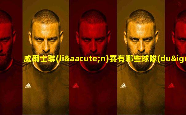 威爾士聯(lián)賽有哪些球隊(duì)參加世界杯