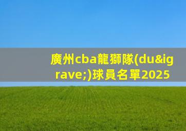 廣州cba龍獅隊(duì)球員名單2025
