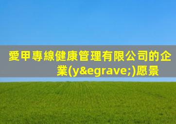 愛甲專線健康管理有限公司的企業(yè)愿景