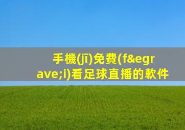 手機(jī)免費(fèi)看足球直播的軟件