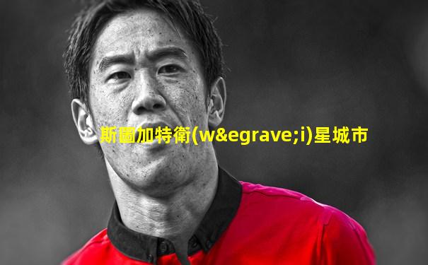 斯圖加特衛(wèi)星城市