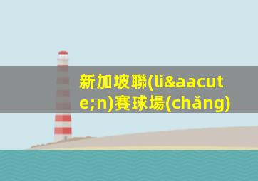 新加坡聯(lián)賽球場(chǎng)