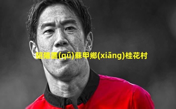 昭陽區(qū)蘇甲鄉(xiāng)桂花村