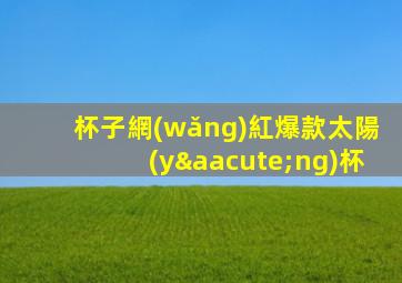杯子網(wǎng)紅爆款太陽(yáng)杯