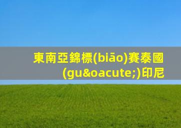 東南亞錦標(biāo)賽泰國(guó)印尼