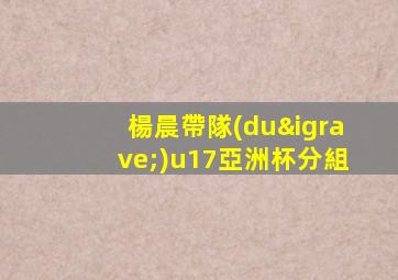 楊晨帶隊(duì)u17亞洲杯分組