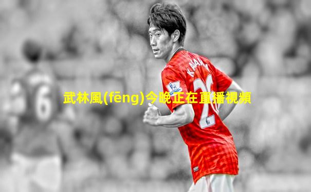 武林風(fēng)今晚正在直播視頻