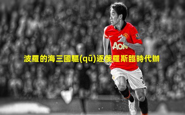波羅的海三國驅(qū)逐俄羅斯臨時代辦