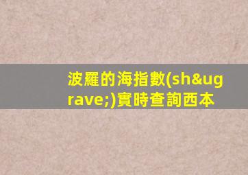 波羅的海指數(shù)實時查詢西本