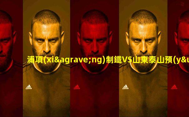 浦項(xiàng)制鐵VS山東泰山預(yù)測(cè)