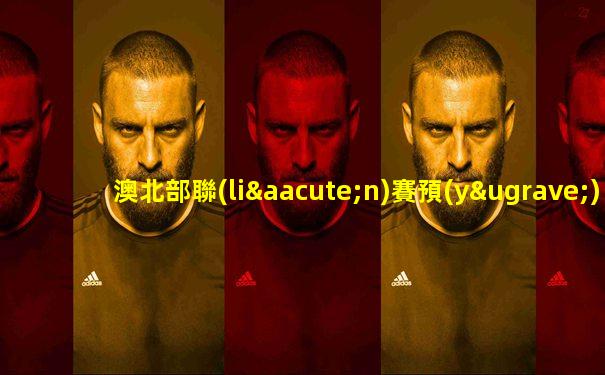 澳北部聯(lián)賽預(yù)備隊(duì)隊(duì)員名單公布時(shí)間