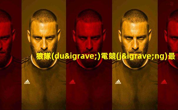 狼隊(duì)電競(jìng)最后一局