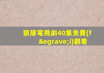 狼隊電視劇40集免費(fèi)觀看