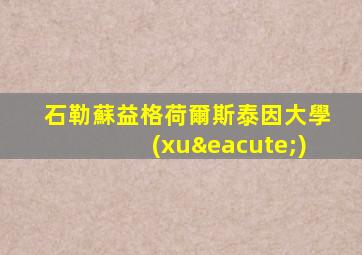石勒蘇益格荷爾斯泰因大學(xué)