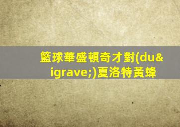 籃球華盛頓奇才對(duì)夏洛特黃蜂