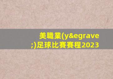 美職業(yè)足球比賽賽程2023