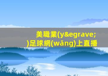 美職業(yè)足球網(wǎng)上直播