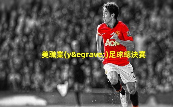美職業(yè)足球總決賽