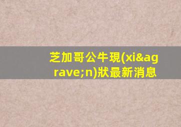 芝加哥公?，F(xiàn)狀最新消息