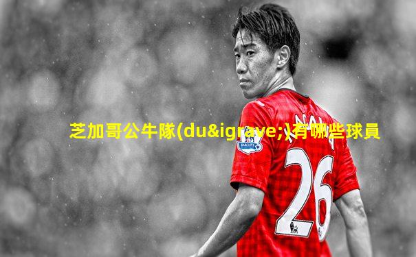 芝加哥公牛隊(duì)有哪些球員
