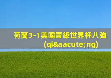 荷蘭3-1美國晉級世界杯八強(qiáng)