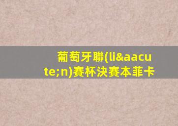 葡萄牙聯(lián)賽杯決賽本菲卡