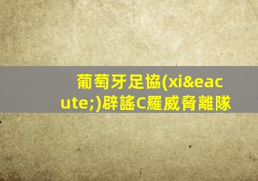 葡萄牙足協(xié)辟謠C羅威脅離隊