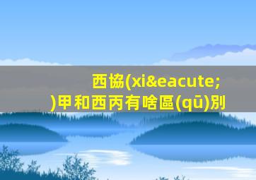 西協(xié)甲和西丙有啥區(qū)別